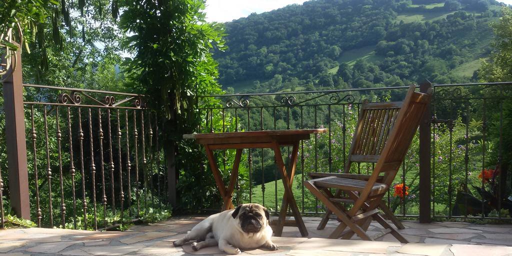 Kuko Hotel - Adults Only Oronoz-Mugaire Dış mekan fotoğraf
