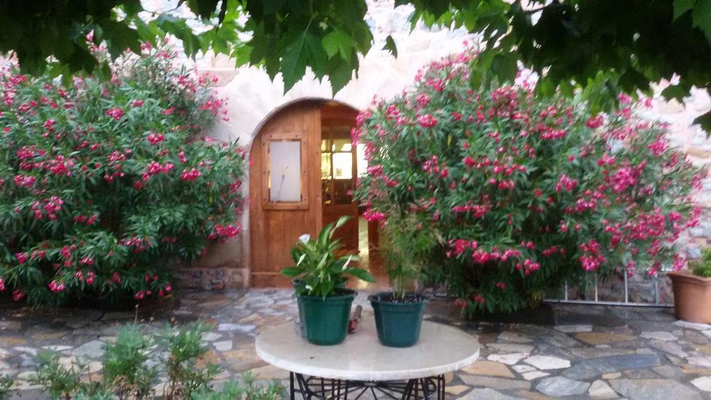 Kuko Hotel - Adults Only Oronoz-Mugaire Dış mekan fotoğraf